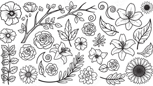 Floral elements collection in minimalist line art style with black and white contrast on plain background for graphic design