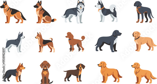 Collection of various dog breeds isolated on white background