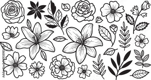 Floral Elements Collection in Hand-Drawn Style with Black and White Color Scheme on White Background for Graphic Design