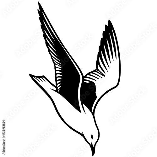 Silhouette of a flying seagull