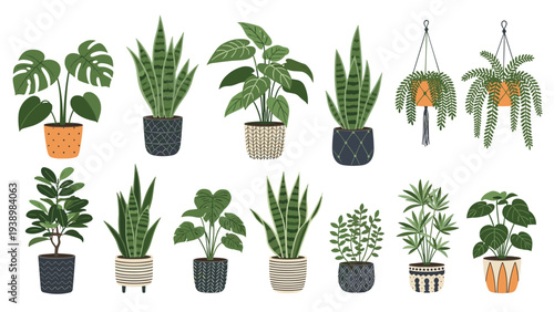 Collection of fourteen different indoor potted plants including monstera, snake plant, and ferns in various decorative pots on a white background.