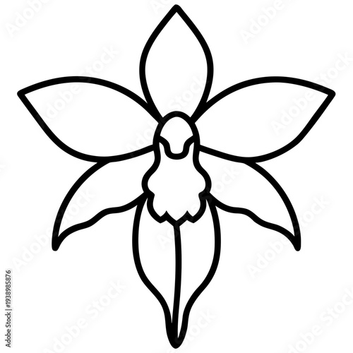 Minimalist white ghost orchid flower line art illustration isolated
