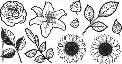 Floral Illustrations in Simple Line Art Style with Monochromatic Color on White Background for Graphic Design