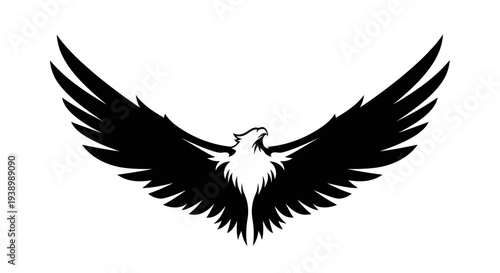 Black and White Eagle Wings Spread.