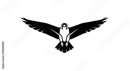 Black Bird Silhouette Flying Freely Outdoors.