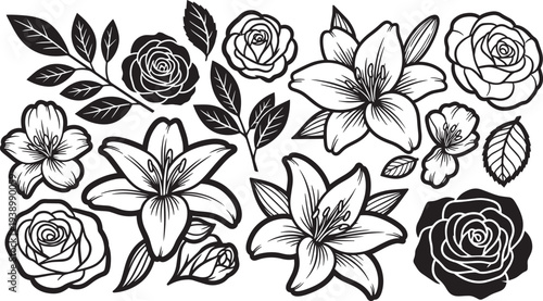 Floral Illustrations in Black and White Line Art Style with Detailed Textures for Graphic Design