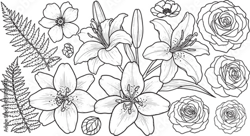 Floral Illustrations in Hand-Drawn Style with Black Ink on White Background for Stationery