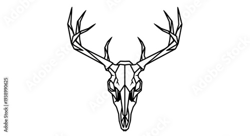 Deer Skull with Antlers Line Art Illustration.