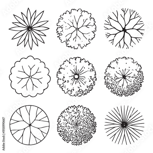 CAD Trees Top View Set – Landscape Design and Architectural Elements