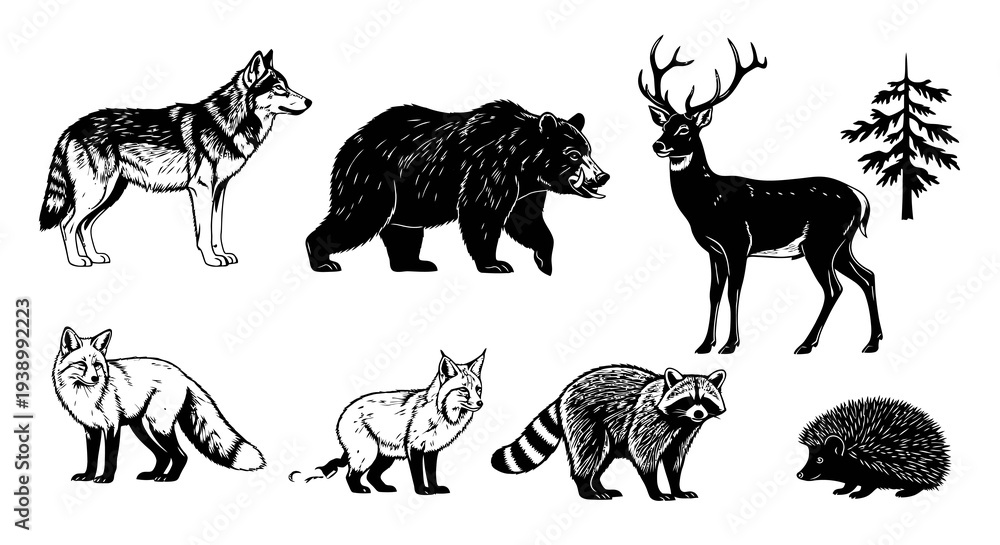 Obraz premium Black and White Line Art Forest Wildlife Animals and Pine Tree Set - Vintage Illustration
