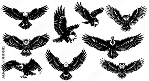 Black and White Engraving Style Birds of Prey Collection for Nature and Wildlife