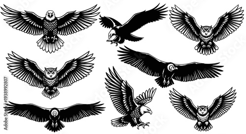 Black  White Line Art Illustration Set of Flying Birds of Prey  Eagles, Owls, Vulture
