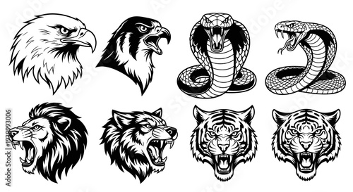 Aggressive Predator Wild Animal Heads Black and White Line Art Mascots for Sports  Gaming