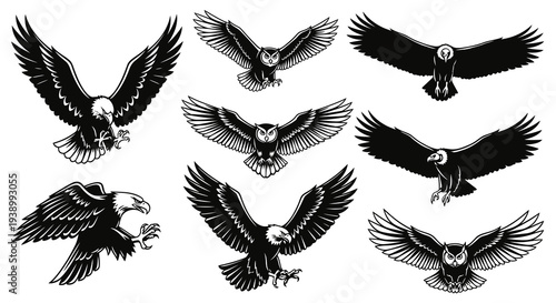 Black and White Line Art Eagles Owls Vultures for Nature and Emblem Designs