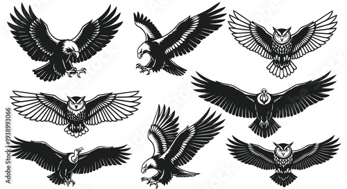 Stylized Black and White Eagles, Owls, Vultures - Wildlife Birds of Prey Set