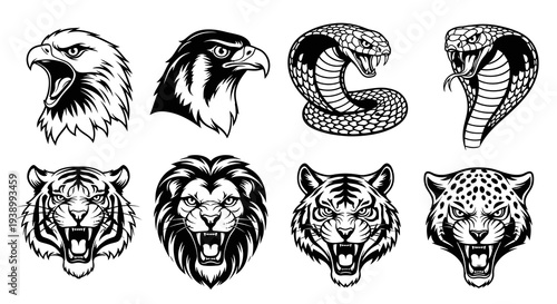 Graphic Black  White Wild Animal Heads Vector Illustration Set - Predator Mascot Designs