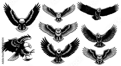 Wildlife Black  White Line Art Illustrations Set: Majestic Eagles, Owls, and Vulture