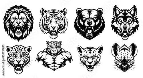 Fierce Wild Animal Heads Black  White Line Art for Sports  Mascot Design