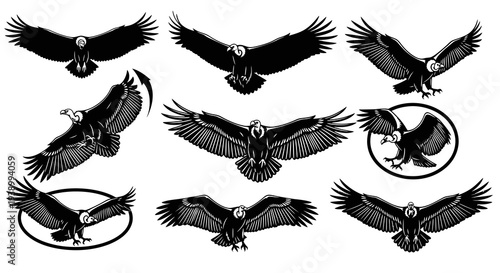 Wildlife Vulture Condor Flying Black White Vector Glyphs Design Elements Set