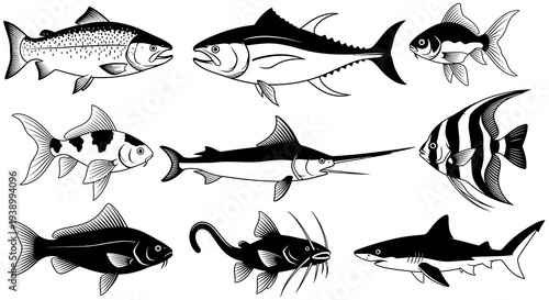 Black and White Fish Vector Illustrations Set - Marine Life and Fishing Icons