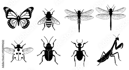 Nature Insects Black  White Line Art and Silhouette Glyphs Collection