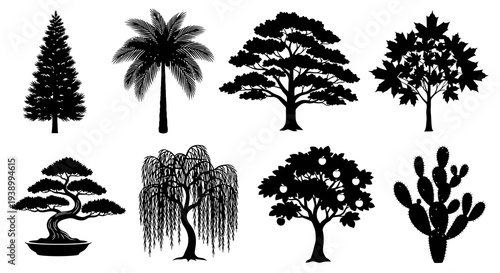 Nature Tree and Plant Silhouettes Vector Set - Diverse Black and White Botany Collection