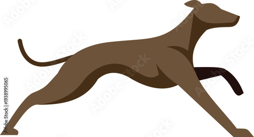 Grey hound dog in motion, representing speed, agility, and movement