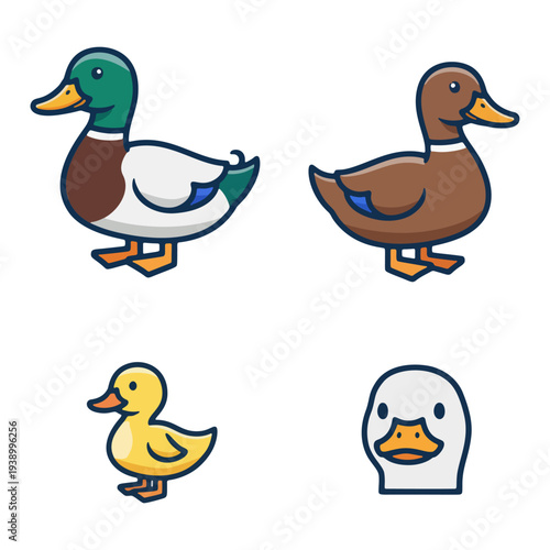 Collection of mallard ducks and cute yellow rubber ducky vector icons.