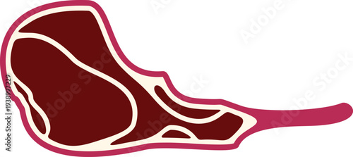 Raw beef or pork cut with bone and marbling, isolated on white background