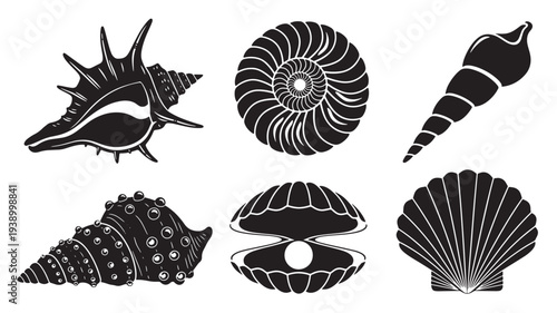 Seashells black silhouette set with various forms including conch, nautilus, and scallop shells for marine or beach design elements.