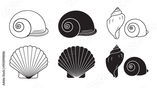Seashells outlined and filled with black and white for illustrative purposes on a white background. featuring seashell, shell, conch with scallop and