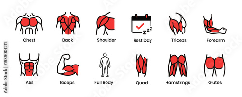 Workout Muscle Group Icons Set. Fitness Anatomy Training Fill and Stroke Icons Vector Illustration