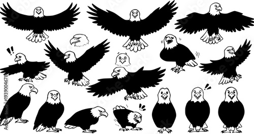 Animal Wildlife Niche: Black and White Graphic Style Illustrations of Bald Eagles - Diverse Set of Birds of Prey.