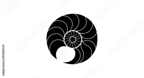Black Nautilus Shell Spiral Design.