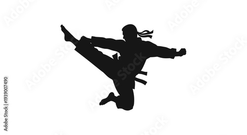 Martial arts silhouette kicking high.