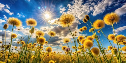 Wallpaper Mural Sunlit Meadow of Fluffy Yellow Flowers Reaching for a Bright Sky Torontodigital.ca
