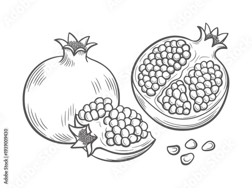 Black and white line of a whole pomegranate cut pomegranate and seeds fruit food