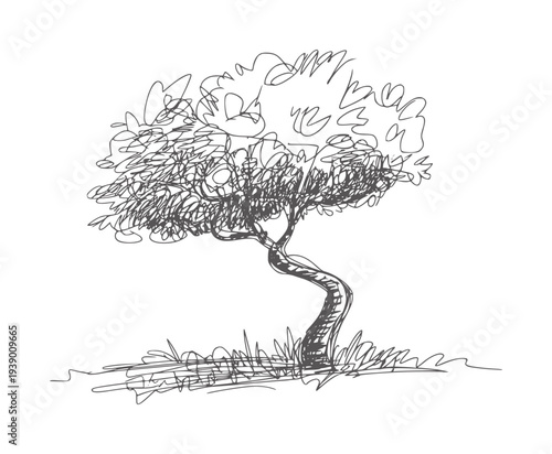 Black and white of a single tree with a curved trunk and leafy crown monochrome nature