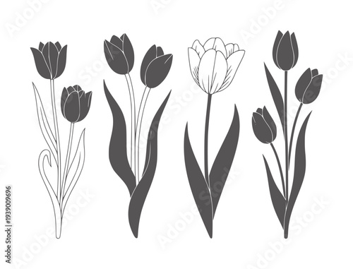 Black and white of four tulips with varied styles flowers floral