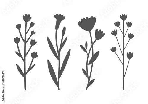 Four dark grey botanical silhouettes white flower plant stem