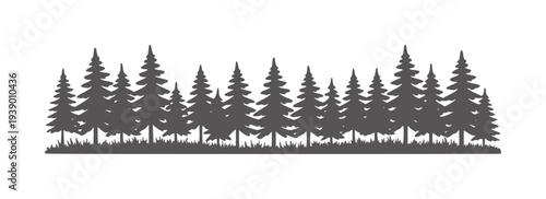 Dark grey pine trees silhouette with grass border white forest nature