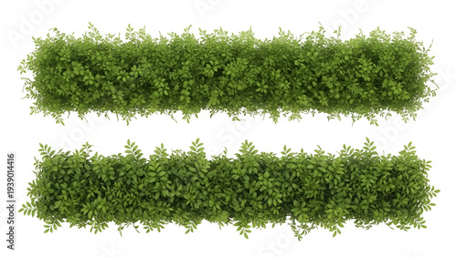 Two green hedge borders on transparent background for landscaping and gardening design