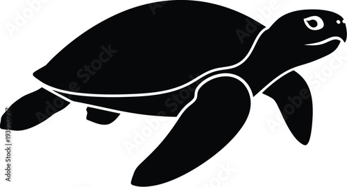 Black silhouette of a turtle isolated on transparency background, swimming or walking, vector illustration with simple lines