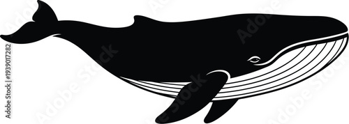 Humpback whale silhouette vector illustration ocean giant swimming isolated on white background marine life conservation icon