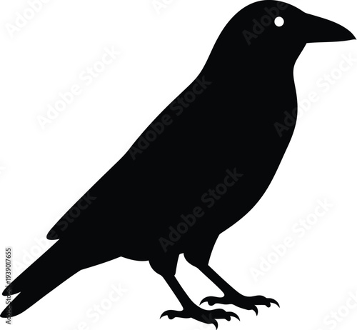 Black crow silhouette standing on transparent background vector illustration