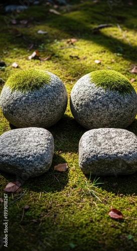 Moss-Covered Stones in a Tranquil Japanese Garden Setting.