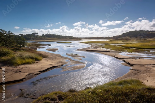 A braided river with multiple channels glistening under bright sunlight, surrounded by sandbanks and greenery