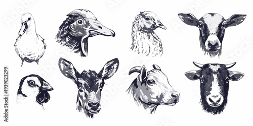 A collection of sketched animal heads featuring birds and farm animals