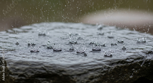 Macro Photography of Raindrops Creating Water Crowns on a Wet Surface