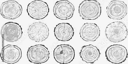 A collection of sketched tree stump cross sections in grayscale tones